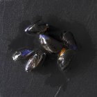 Fresh mussels on grey — Stock Photo