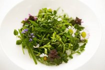 Wild herb salad — Stock Photo