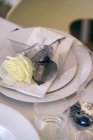Повышенный вид на розу с серебряными листьями на месте установки — стоковое фото