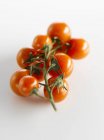 Tomates cerises rouges — Photo de stock