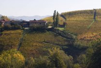 Vista distante diurna dos edifícios e vinhedos da Adega La Morandina, Piemonte, Itália — Fotografia de Stock