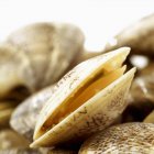 Closeup view of opened clam on heap of clams — Stock Photo