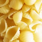 Fresh conchiglie pasta — Stock Photo