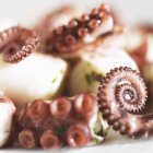 Закрыть салат из осьминога — стоковое фото