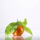 Mandarina naranja con hojas - foto de stock