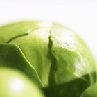 Зеленая брюссельская капуста на белом фоне — стоковое фото