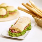 Sándwich de salami en plato - foto de stock