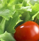 Salade verte aux tomates cerises — Photo de stock