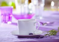 Vista ravvicinata della tazza bianca con piattino e lavanda — Foto stock