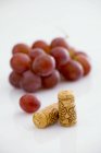 Wine corks with red grapes — Stock Photo