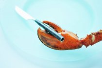 Closeup view of red lobster claw holding knife — Stock Photo