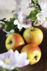 Drei Äpfel mit Blüten — Stockfoto