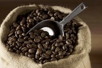 Granos de café en saco de yute - foto de stock