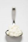 Spoonful of cottage cheese — Stock Photo