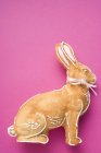 Conejo de Pascua al horno - foto de stock