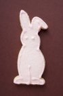 Biscuit en forme de lapin de Pâques — Photo de stock