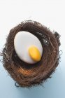 Galleta acristalada en nido de Pascua - foto de stock