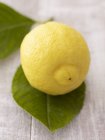 Frische Zitrone auf Blättern — Stockfoto
