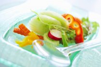 Salada de legumes em prato — Fotografia de Stock