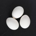 Uova bianche su nero — Foto stock
