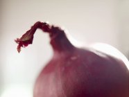 Unshelled Red onion — стоковое фото