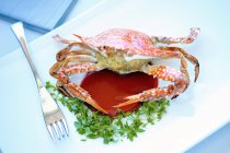 Crab stuffed with pork — Stock Photo