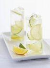 Two Glasses of Seltzer Water with Lemon and Lime Slices — Stock Photo