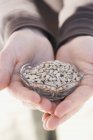 Hands holding dish of sunflower seeds — Stock Photo