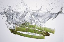 Asparagus branches in clear water — Stock Photo