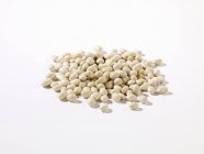 Dried White beans — Stock Photo