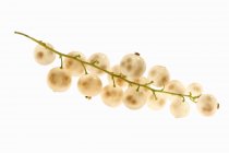 Grupo de groselhas brancas frescas — Fotografia de Stock