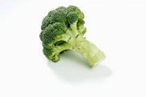 Fresh Green Broccoli — Stock Photo