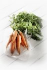Manojo de zanahorias frescas con tallos - foto de stock
