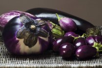 DiversTypes d'aubergines — Photo de stock
