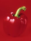 Ripe red bell pepper — Stock Photo