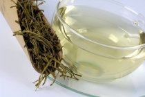 Honeysuckle tea and leaf — Stock Photo