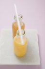 Bottiglie di vetro con succo di frutta — Foto stock