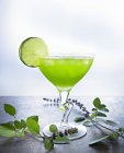 Glass of kiwi margarita — Stock Photo