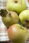Різноманітні органічні яблука — стокове фото