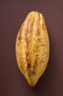 Fruta del cacao cruda - foto de stock