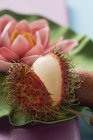 Rambutan and water lily — Stock Photo