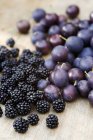 Fresh Damsons and blackberries — Stock Photo