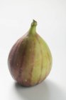 Fresh green fig — Stock Photo