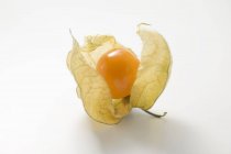 Fruta Physalis con cáscara - foto de stock