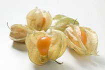 Physalis fruits with husks on table — Stock Photo