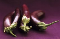 Fresh ripe aubergines — Stock Photo