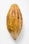 Fruta del cacao cruda - foto de stock