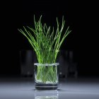 Fresh chives in glass of water — Stock Photo