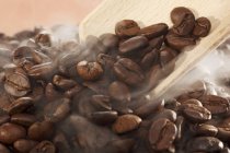 Steaming coffee beans with scoop — Stock Photo