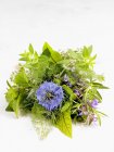 Bouquet d'herbes fraîches — Photo de stock